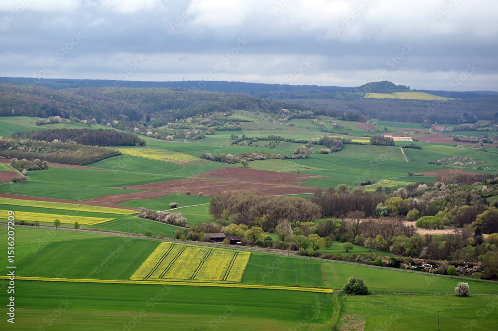 Felder und Wiesen bei Hammelburg Felder und Wiesen bei Hammelburg