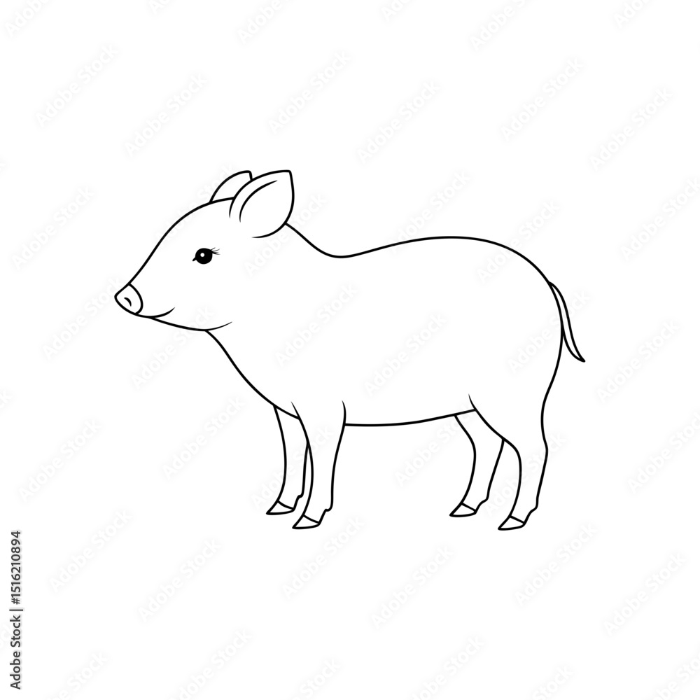 The Critically Endangered Pygmy Hog A Rare Porcula Salvania On A White Backdrop The Critically Endangered Pygmy Hog A Rare Porcula Salvania On A White Backdrop