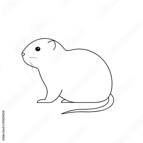 Rare Robert s Snow Vole Illustration for High Altitude Wildlife Study