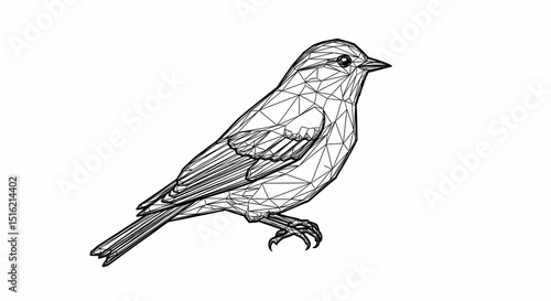 Geometric Bird Design A Modern Minimalist Line Art Illustration