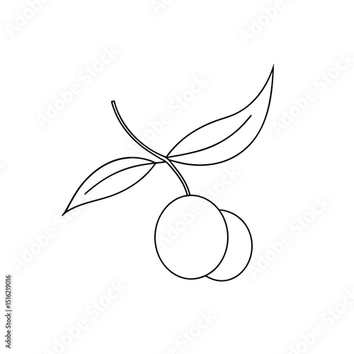Healthy Sea Buckthorn Berry Illustration on White for Food and Nutrition
