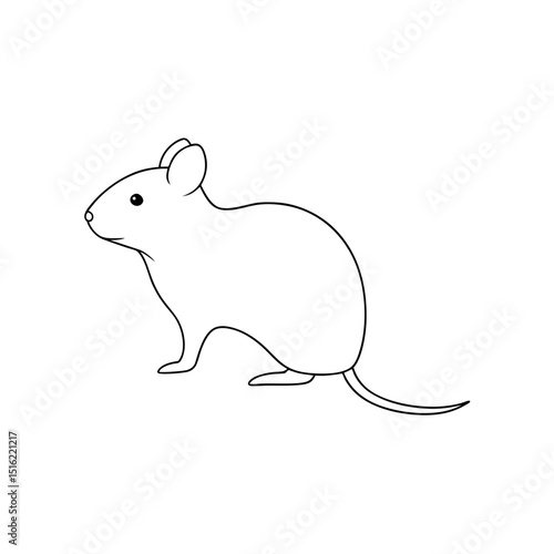 Detailed Sichuan Vole Illustration on White Background for Educational Use