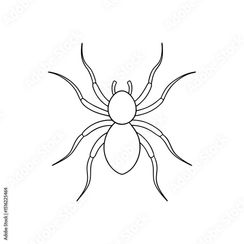 Creepy Tarantula Spider Vector Graphic