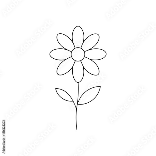 Yellow Sundrops Flower on White Background Wildflower