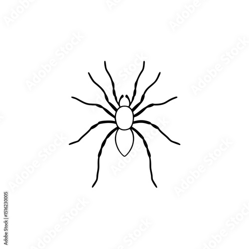 Hairy Tarantula Spider on White Background Insect Illustration