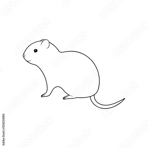 Tatra Pine Vole on White Background Small Rodent Illustration