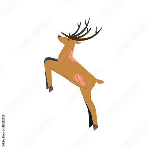 Carcass of a Brown Deer – Wildlife and Nature Concept