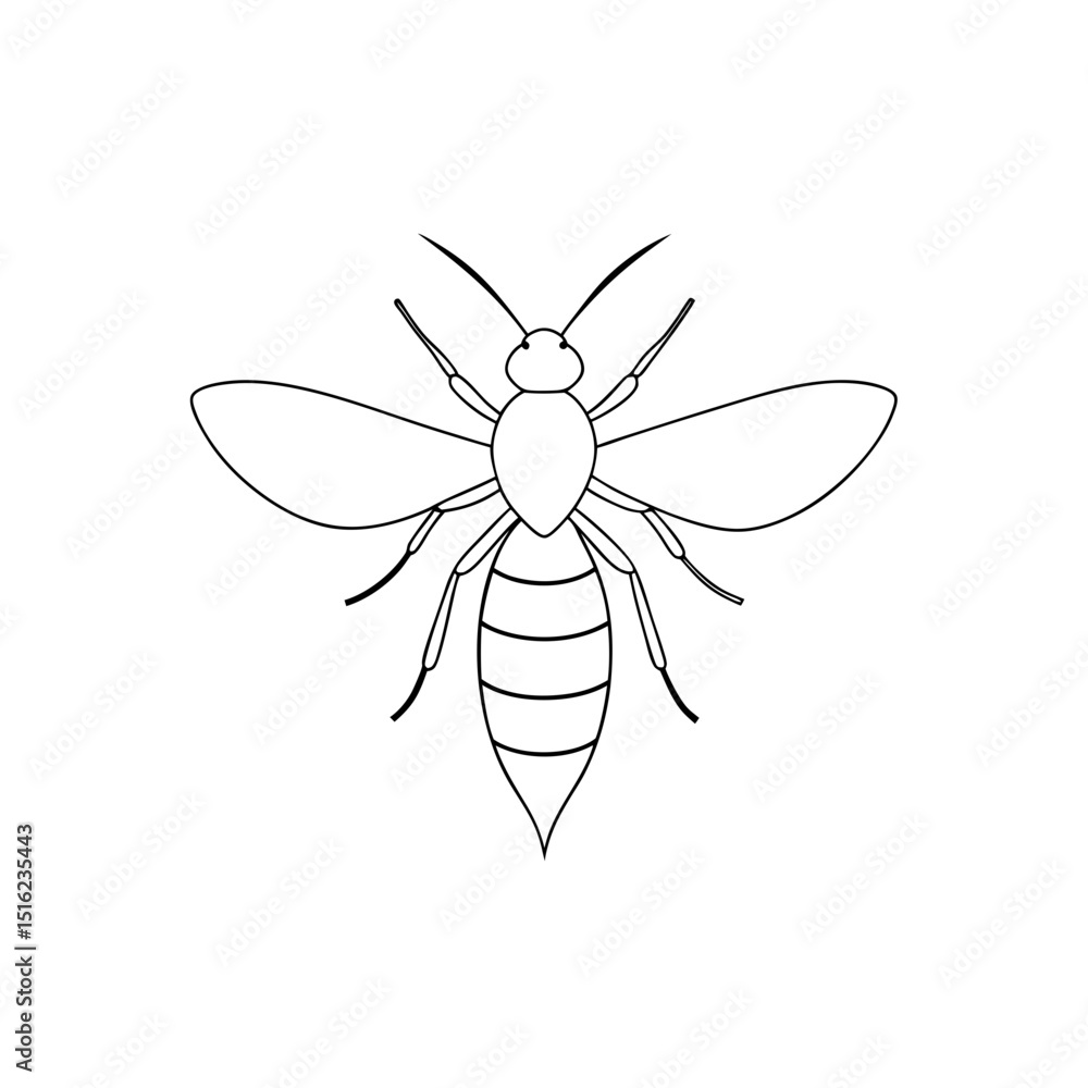 Yellow Jacket Wasp on White Background: Insect Illustration Yellow Jacket Wasp on White Background: Insect Illustration
