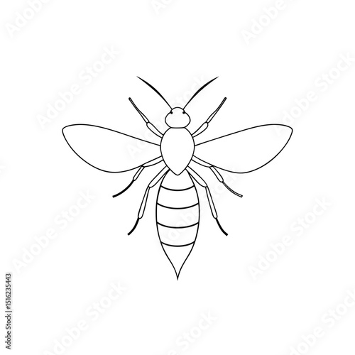Yellow Jacket Wasp on White Background: Insect Illustration