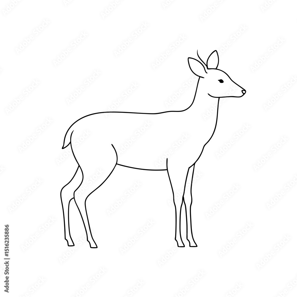 Obraz premium White-Lipped Deer on White Background: Elegant Wildlife Illustration