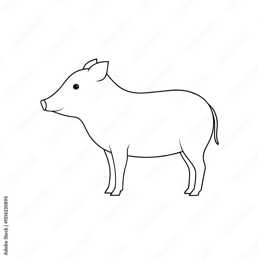 Obraz premium White-Lipped Peccary on White Background: South American Animal