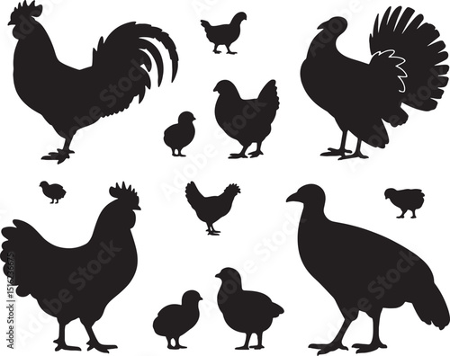 Silhouettes of chickens roosters and turkeys