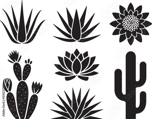 Desert plants black silhouettes botanical illustrations