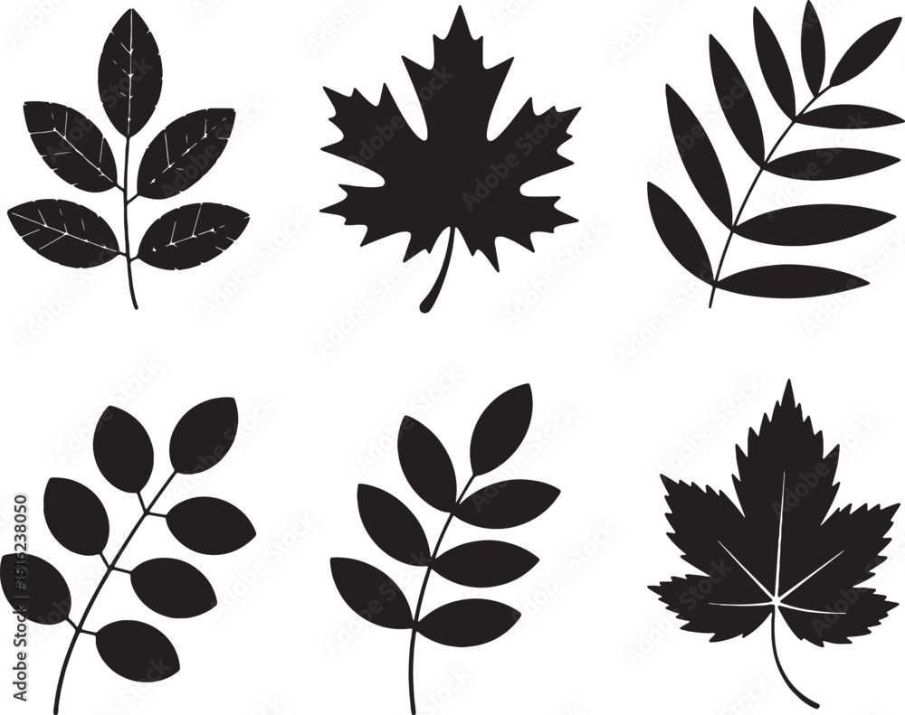 Obraz premium Six black silhouettes of different leaves