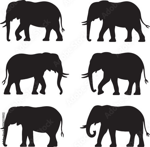 Six silhouettes of african elephants walking