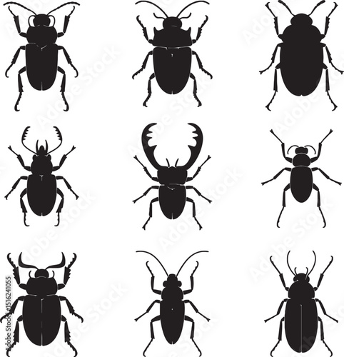 Nine different types of beetles black silhouettes