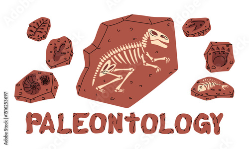 set of fossils labeled Paleontology, flat color. Dinosaur footprints, fish bones, tyrannosaurus skeleton, plants, shells. Brown large elements. for scientific posters, books, materials for articles.