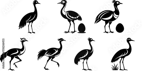 Silhouette illustration of various ostrich poses  vector, silhouette, illustration, horizontal, isolated assets, on transparent background
