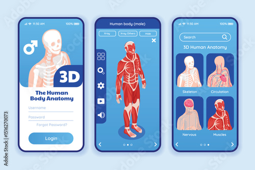 Anatomic Data Network Isometric App design