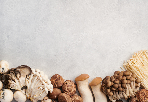 Set of different mushrooms on background, oyster mushrooms, champignons, enoki, shiitake, honey mushrooms, flat lay. Space for text