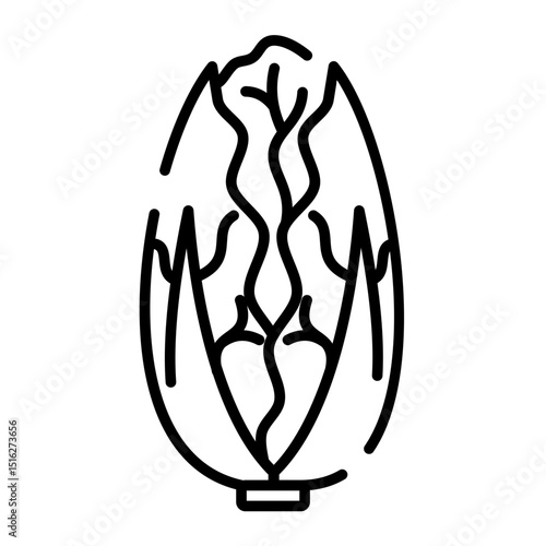 napa cabbage icon	