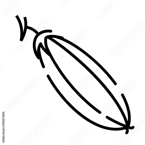 starfruit icon	

