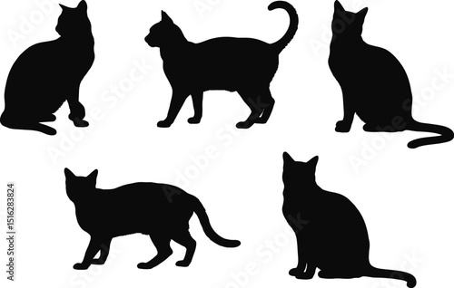 Collection of eight black cat silhouettes in various poses on a white background image style