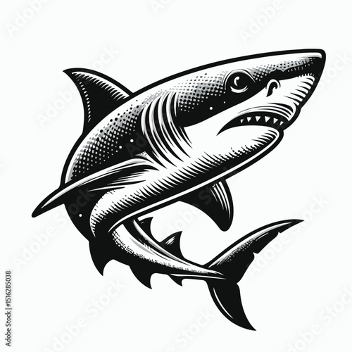 fierce shark vector image