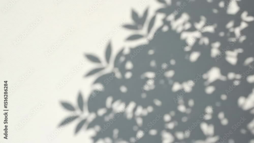 A Subtle Dance of Shadows: The Intricate Play of Light and Dark from Leafy Green Plants Casting Beautiful Patterns on a White Surface A Subtle Dance of Shadows: The Intricate Play of Light and Dark from Leafy Green Plants Casting Beautiful Patterns on a White Surface