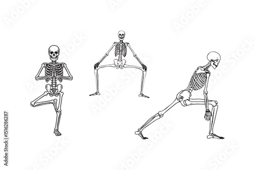 Skeleton Yoga Pose Vector Illustration