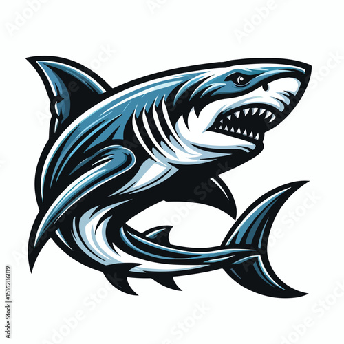 fierce shark vector image