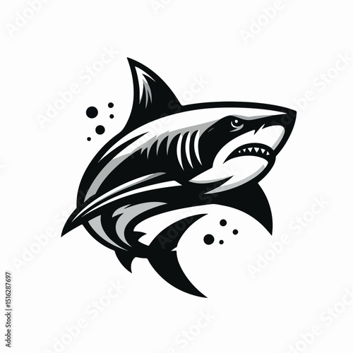 fierce shark vector image