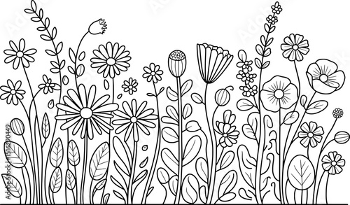 Wildflowers meadow coloring page botanical line art