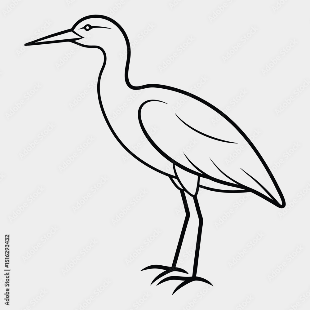 Obraz premium Line art of a bittern on the white background.10.eps