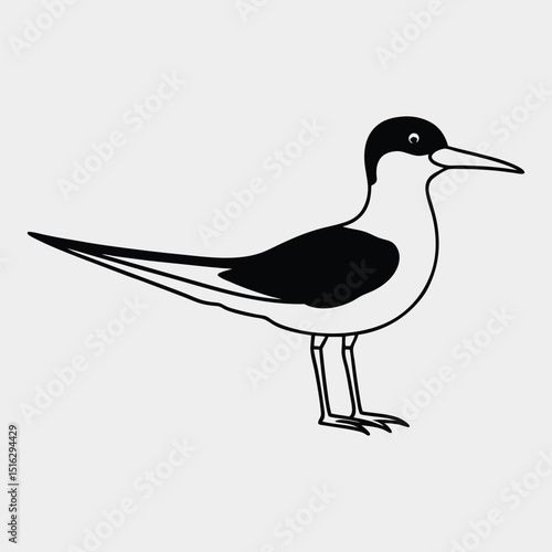 Line art of a black skimmer on the white background.