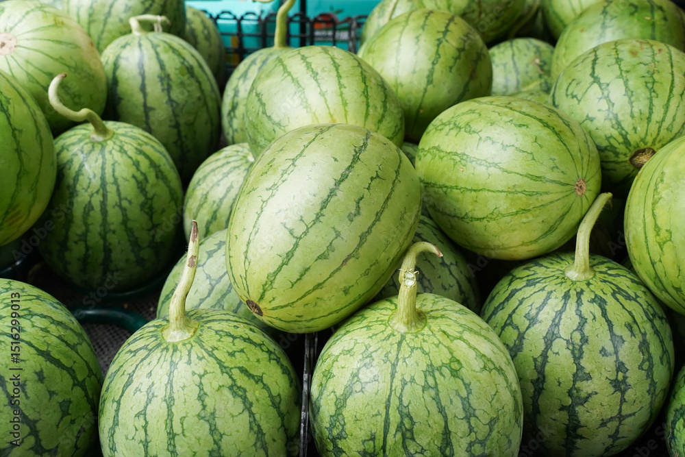 Stack of Watermelons. Watermelons on fruit market shelf. Fresh organic water melon fruit for sale. Ripe and fresh watermelons piled up in a store. A lot of watermelons Stack of Watermelons. Watermelons on fruit market shelf. Fresh organic water melon fruit for sale. Ripe and fresh watermelons piled up in a store. A lot of watermelons