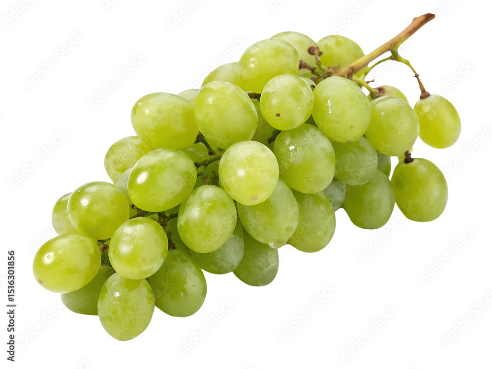 Studio Shot of Fresh Green Grapes Isolated on transparent background, Isolated Png file, Cut-out, Isolate Png, No Background, Isolated object Studio Shot of Fresh Green Grapes Isolated on transparent background, Isolated Png file, Cut-out, Isolate Png, No Background, Isolated object