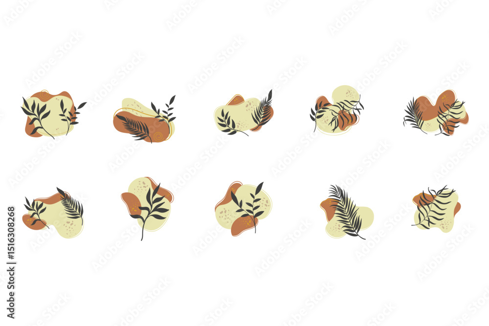 Obraz premium Aesthetic Abstract Floral Element Set