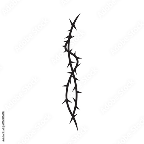 branch of willow silhouette 