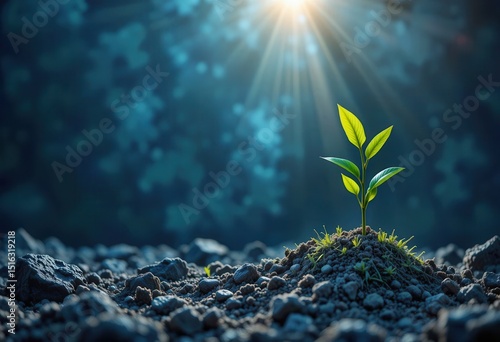 Green seedling growing in fertile soil under sunlight in a serene outdoor environment