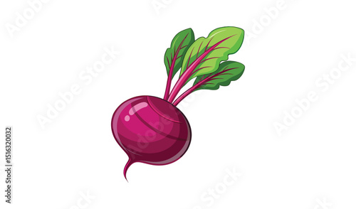 Fresh beetroot vegetable cartoon illustration