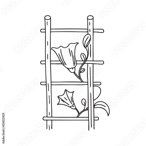 A trumpet vine climbing a garden trellis