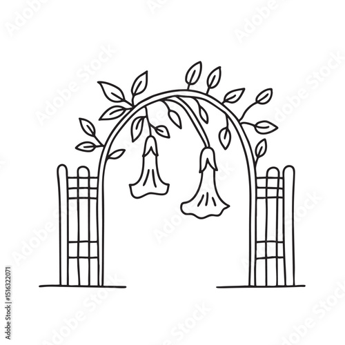 A trumpet vine draping over a garden gate