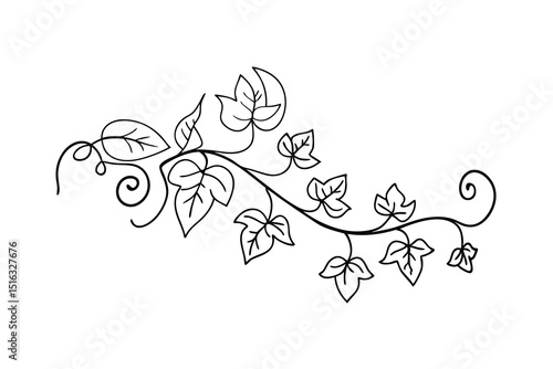 Elegant black and white vector illustration of climbing vine with leaves and swirls