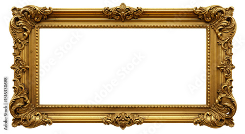 Ornate Gold Picture Frame with Decorative Border