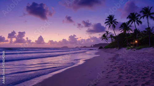 Serene beach at sunset with gentle waves and palm trees  