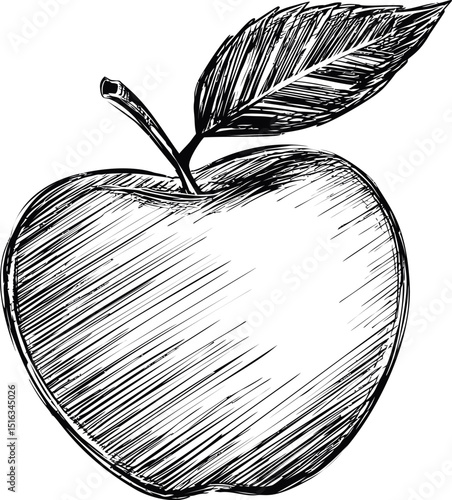 Black and white sketch of an apple with leaf, hand-drawn art. Vector illustration