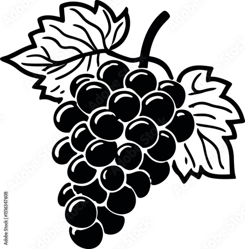 Black and white illustration of grape cluster with leaves, vintage design. Vector illustration