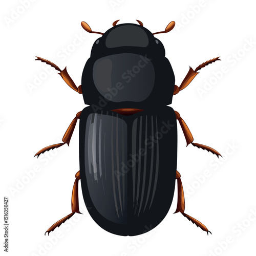 illustration of animal vector