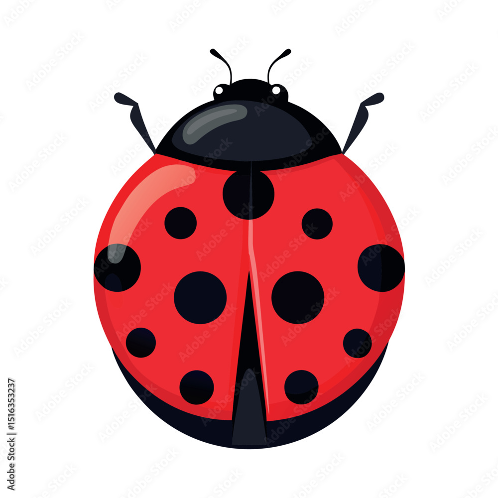 Obraz premium ladybug vector on white background
